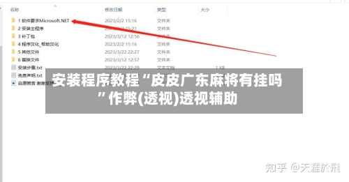 安装程序教程“皮皮广东麻将有挂吗	”作弊(透视)透视辅助-第2张图片