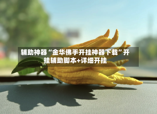 辅助神器“金华佛手开挂神器下载”开挂辅助脚本+详细开挂-第1张图片