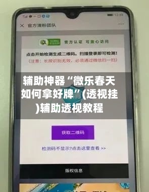 辅助神器“微乐春天如何拿好牌”(透视挂)辅助透视教程-第3张图片