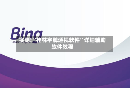 实测!“桂林字牌透视软件”详细辅助软件教程-第2张图片