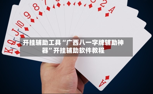 开挂辅助工具“广西八一字牌辅助神器”开挂辅助软件教程-第3张图片