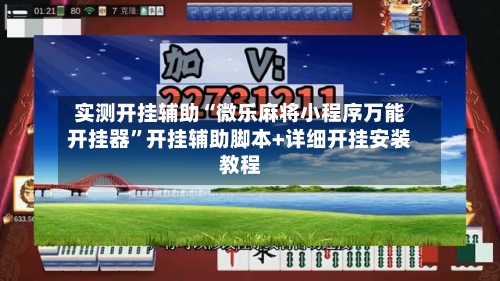实测开挂辅助“微乐麻将小程序万能开挂器”开挂辅助脚本+详细开挂安装教程-第1张图片