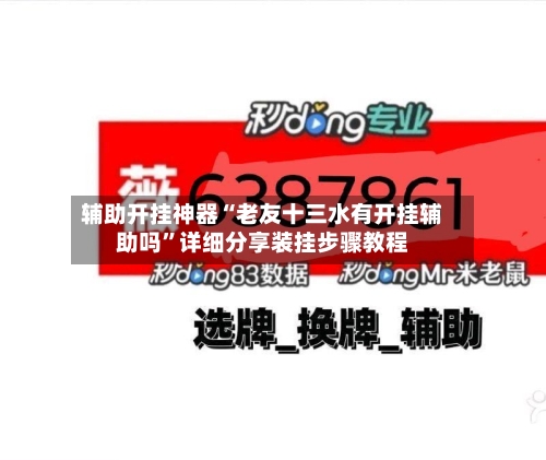 辅助开挂神器“老友十三水有开挂辅助吗	”详细分享装挂步骤教程-第2张图片