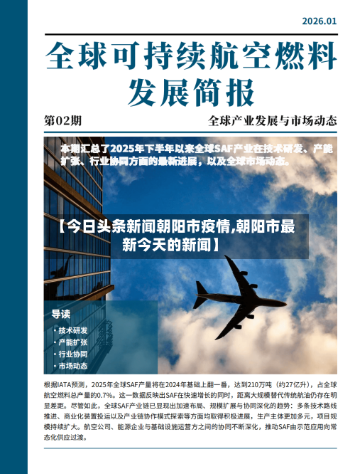 【今日头条新闻朝阳市疫情,朝阳市最新今天的新闻】-第2张图片