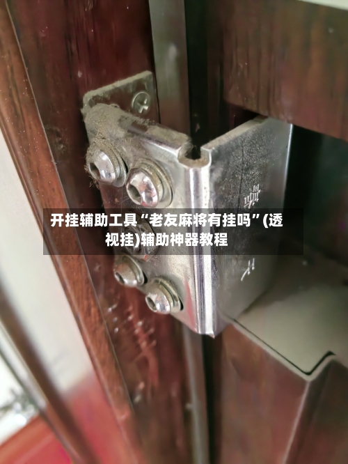 开挂辅助工具“老友麻将有挂吗”(透视挂)辅助神器教程-第2张图片