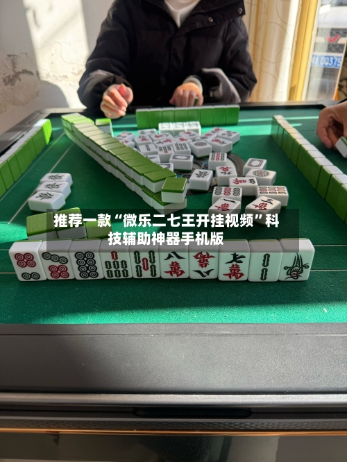 推荐一款“微乐二七王开挂视频”科技辅助神器手机版-第3张图片