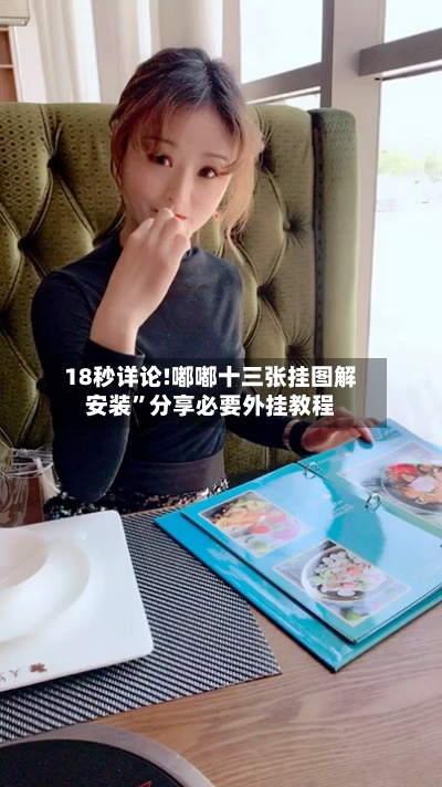 18秒详论!嘟嘟十三张挂图解安装	”分享必要外挂教程-第1张图片