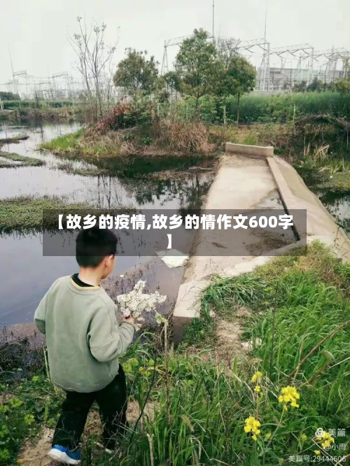 【故乡的疫情,故乡的情作文600字】-第2张图片