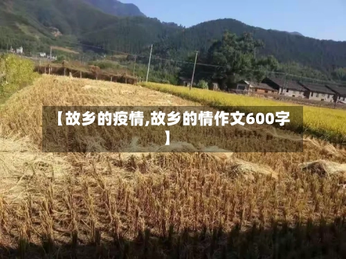 【故乡的疫情,故乡的情作文600字】-第3张图片