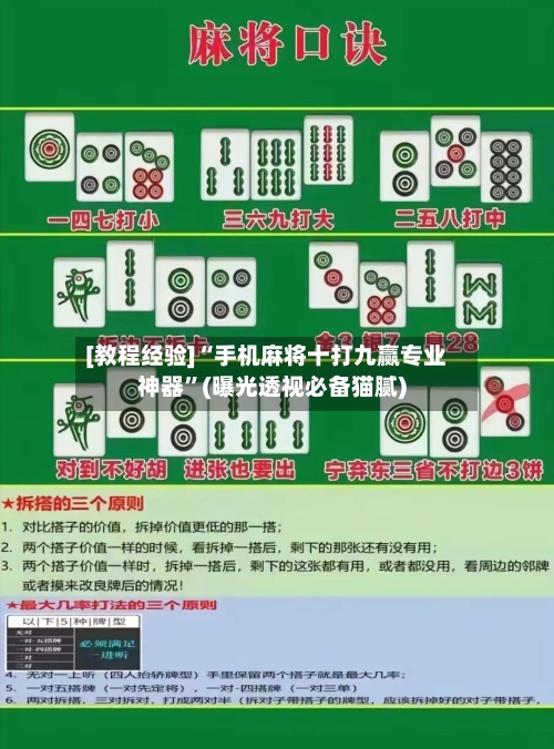 [教程经验]“手机麻将十打九赢专业神器”(曝光透视必备猫腻)-第3张图片