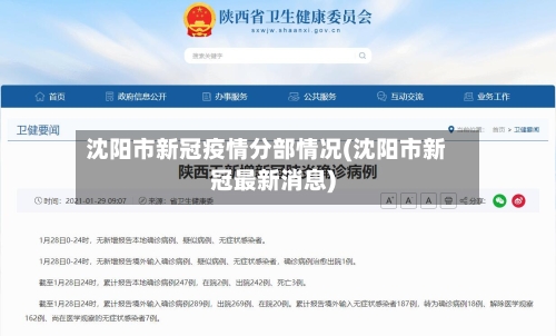 沈阳市新冠疫情分部情况(沈阳市新冠最新消息)-第2张图片