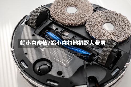 蜗小白疫情/蜗小白扫地机器人费用-第3张图片