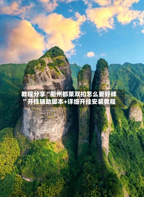 教程分享“衢州都莱双扣怎么要好牌	”开挂辅助脚本+详细开挂安装教程-第3张图片