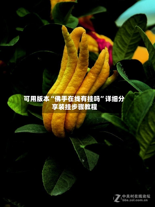 可用版本“佛手在线有挂吗	”详细分享装挂步骤教程-第1张图片