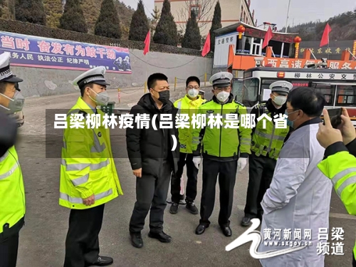 吕梁柳林疫情(吕梁柳林是哪个省)-第1张图片