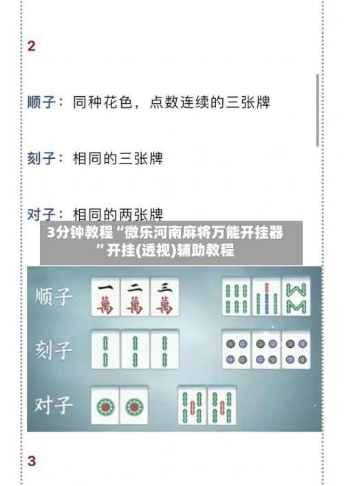 3分钟教程“微乐河南麻将万能开挂器”开挂(透视)辅助教程-第3张图片