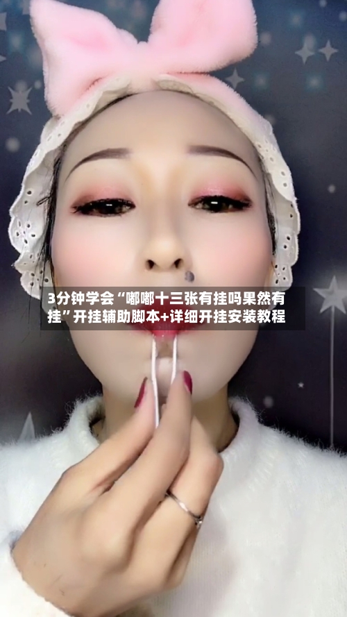 3分钟学会“嘟嘟十三张有挂吗果然有挂”开挂辅助脚本+详细开挂安装教程-第3张图片