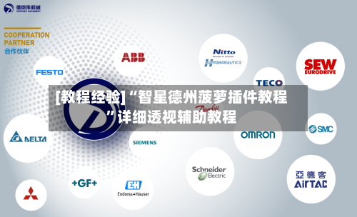 [教程经验]“智星德州菠萝插件教程”详细透视辅助教程-第2张图片