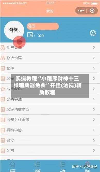 实操教程“小程序财神十三张辅助器免费	”开挂(透视)辅助教程-第1张图片